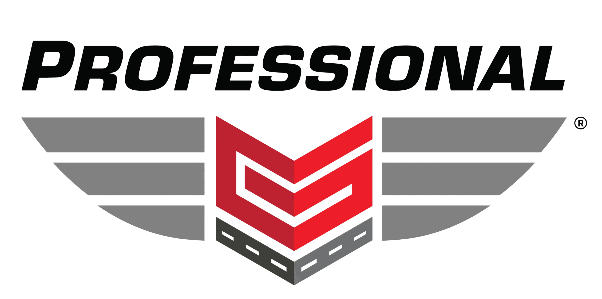 Professional_Logo_Icon_1